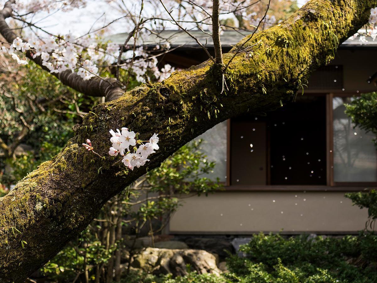 Nanzenji Sando Kikusui Kyoto Exterior photo